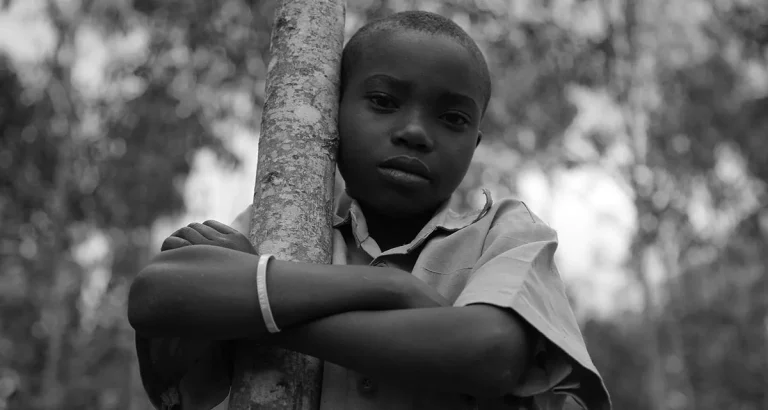 Read more about the article The Little Princ